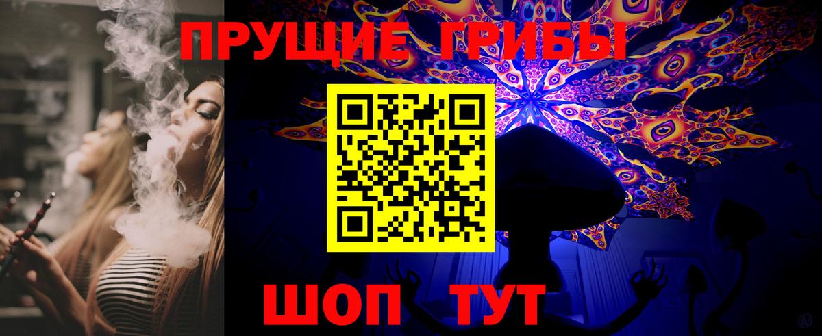 Галлюциногенные грибы Psilocybine cubensis  Псилоцибиновые грибы GOLDEN TEACHER  Ступино  Вход с VPN 
